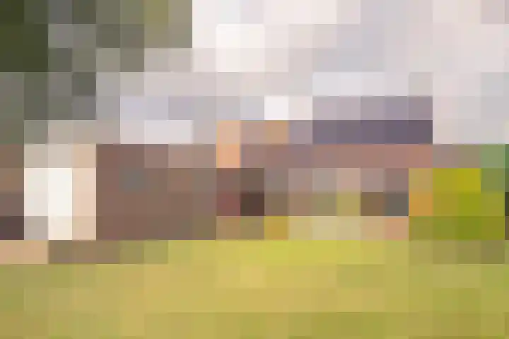 Hobbelrade 5 Spaubeek thumbnail 28