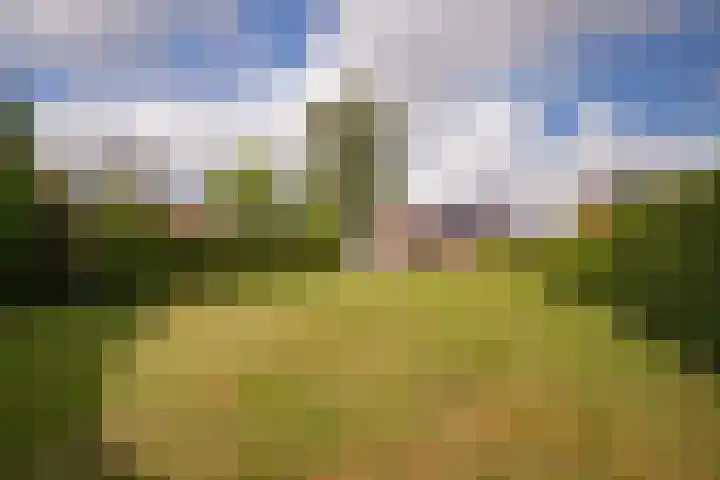 Hobbelrade 5 Spaubeek foto 3