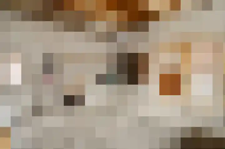 Hobbelrade 55 Spaubeek thumbnail 31