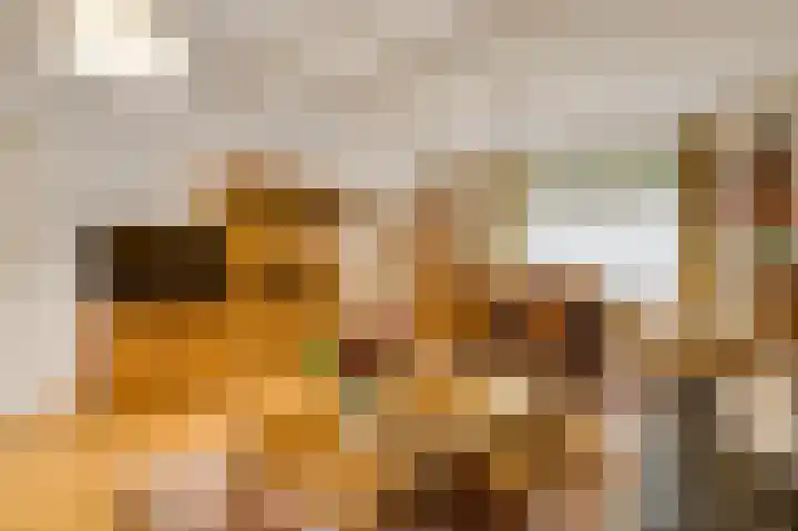 Hobbelrade 55 Spaubeek thumbnail 9