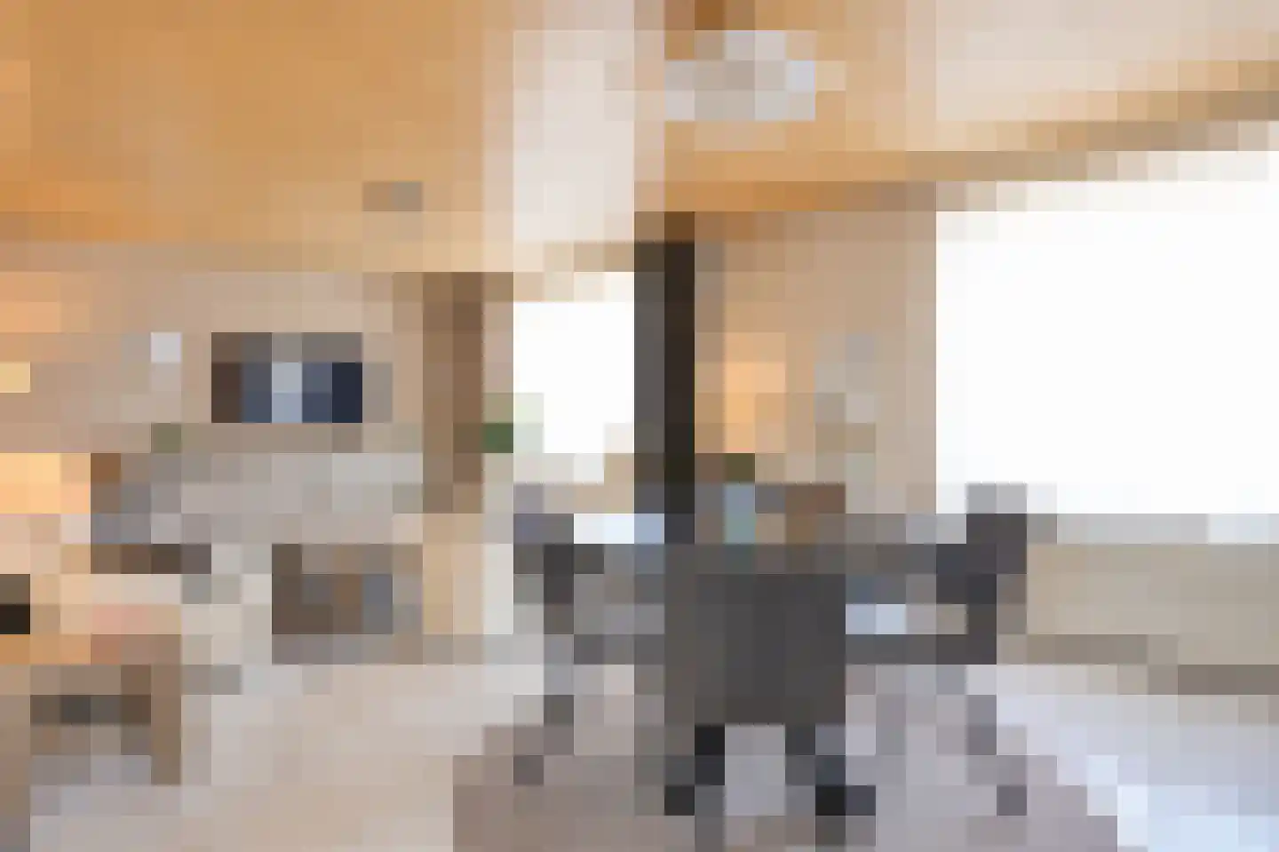 Hobbelrade 97 Spaubeek thumbnail 7