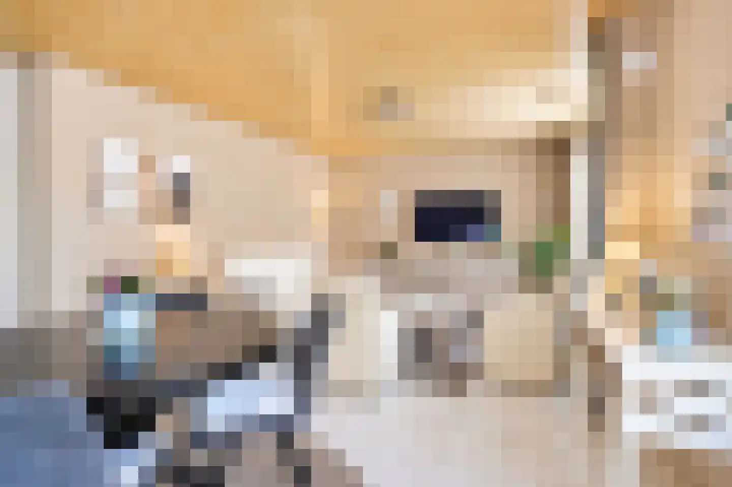 Hobbelrade 97 Spaubeek thumbnail 8