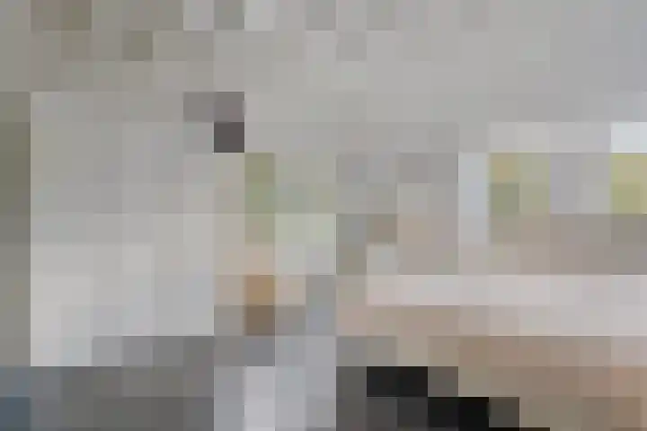 Hobbemakade 15 Zutphen thumbnail 16