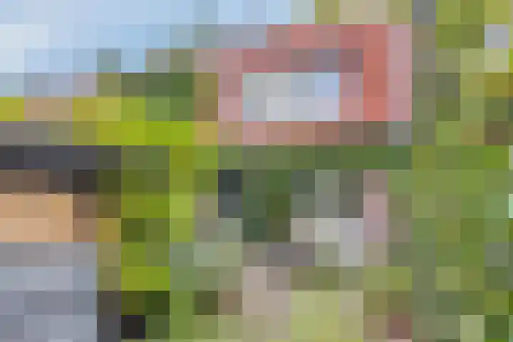 Hobbemakade 15 Zutphen thumbnail 32