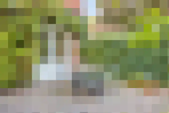 Hobbemakade 15 Zutphen thumbnail 33