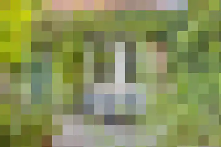 Hobbemakade 15 Zutphen thumbnail 34