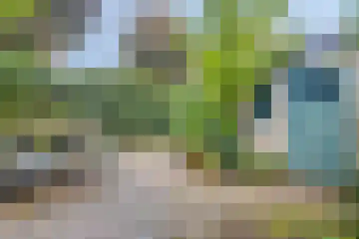 Hobbemakade 15 Zutphen thumbnail 35