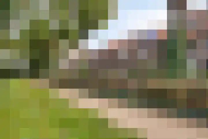 Hobbemakade 15 Zutphen thumbnail 37