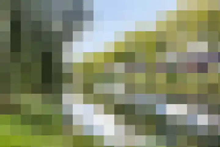 Hobbemakade 15 Zutphen thumbnail 38