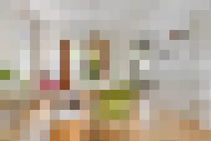 Hobbemakade 15 Zutphen thumbnail 7
