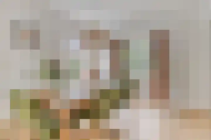 Hobbemakade 15 Zutphen thumbnail 8