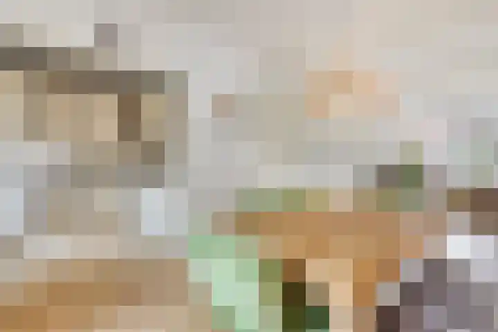 Hobbemakade 15 Zutphen thumbnail 9