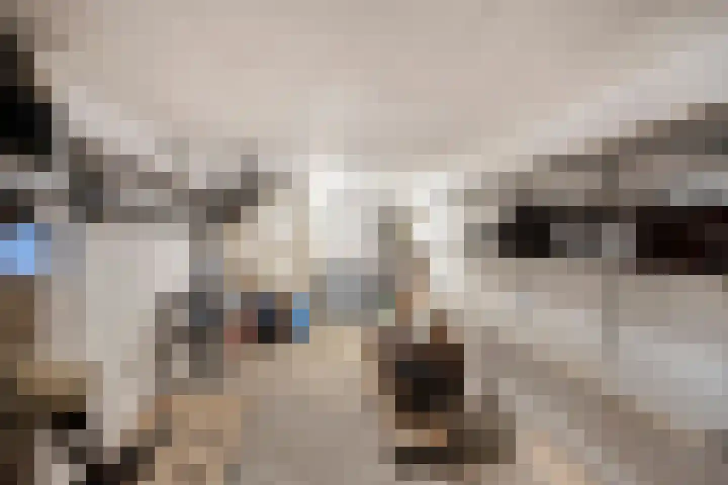 Hobbemakade 39 Zutphen thumbnail 20