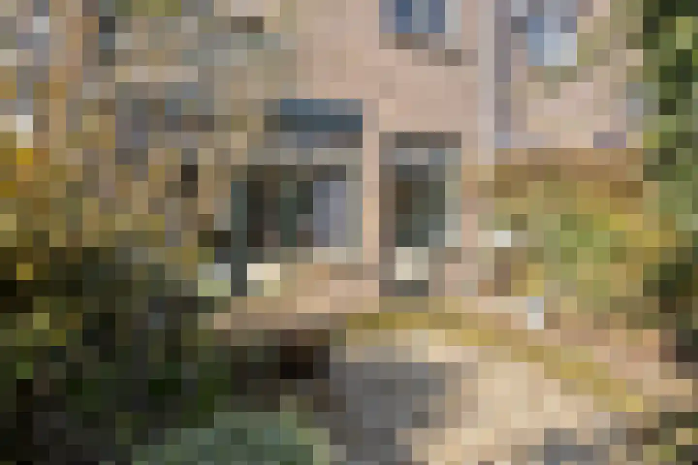 Hobbemakade 39 Zutphen thumbnail 31