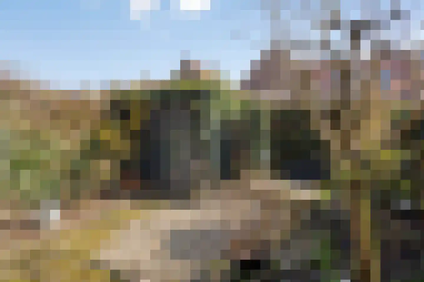 Hobbemakade 39 Zutphen thumbnail 34