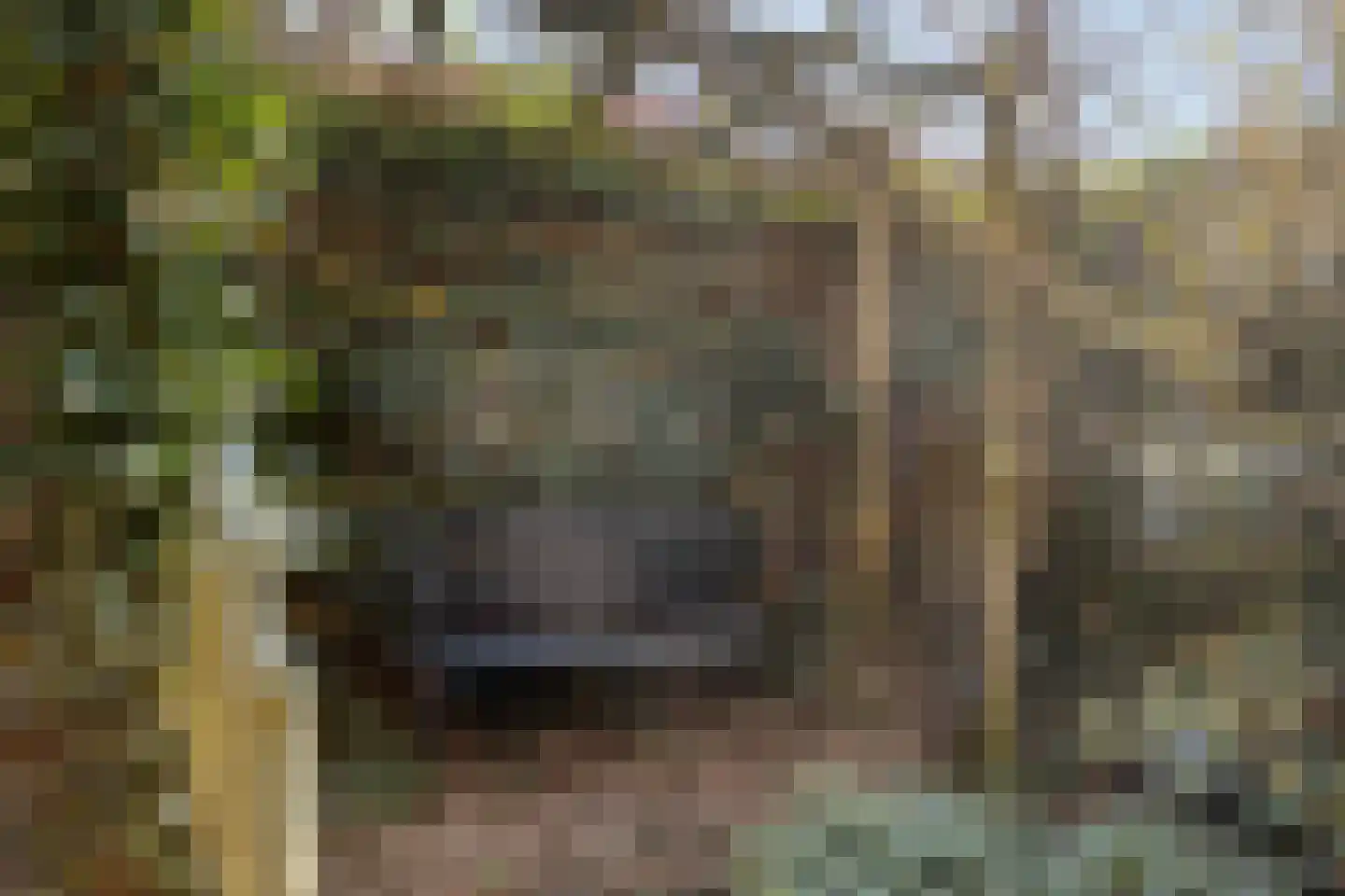 Hobbemakade 39 Zutphen thumbnail 35