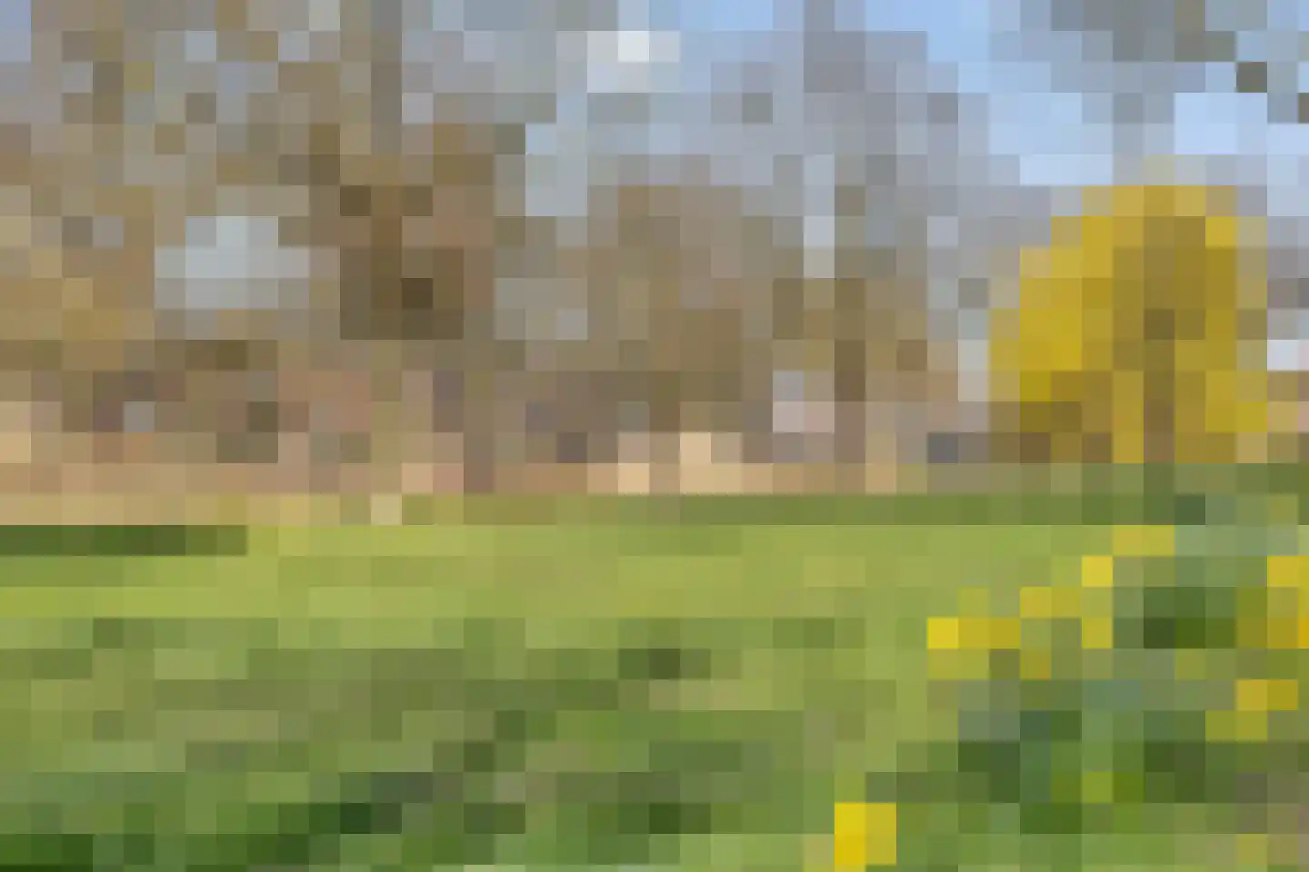 Hobbemakade 39 Zutphen thumbnail 40