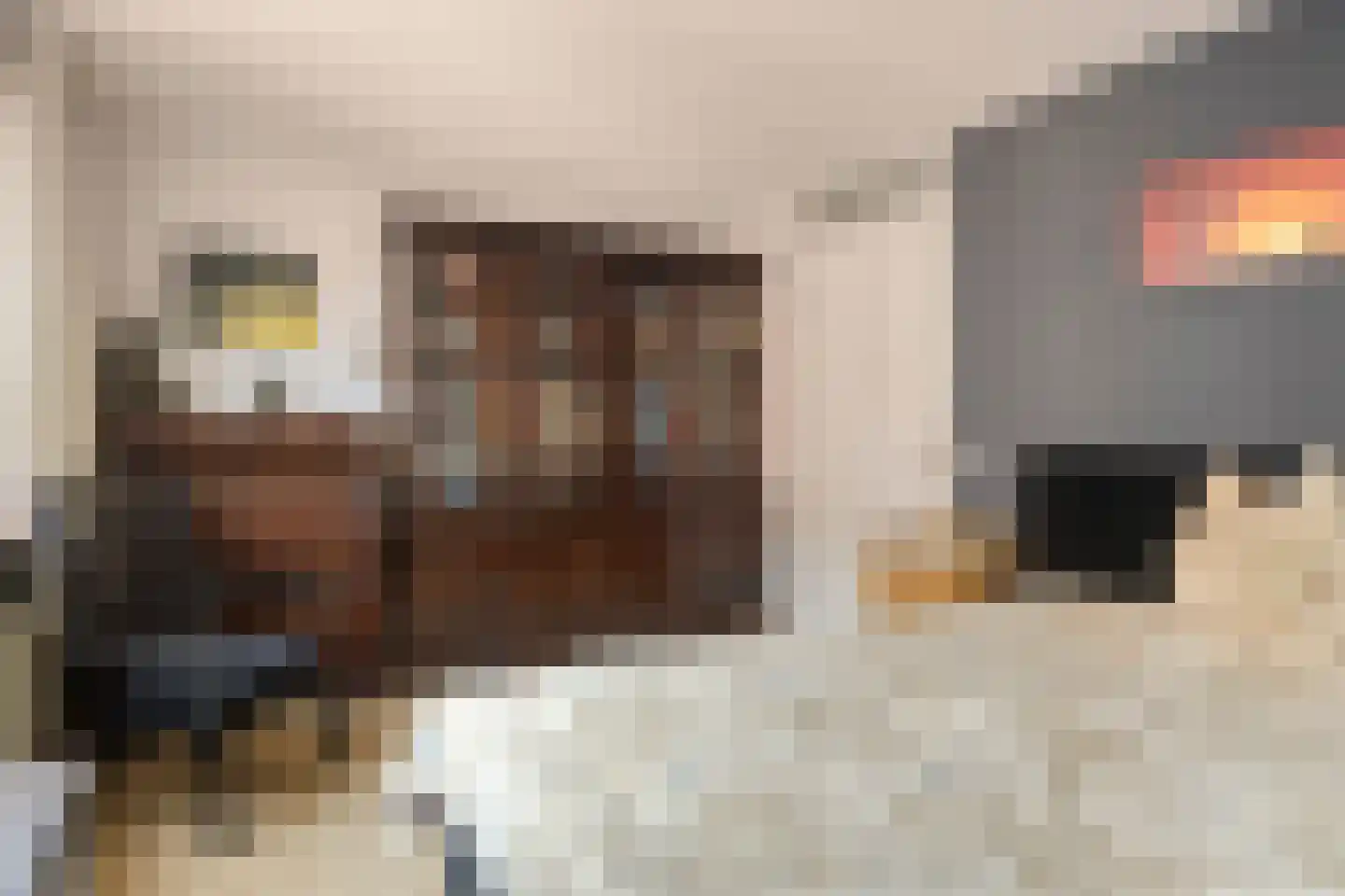 Hobbemakade 444 Zutphen thumbnail 14