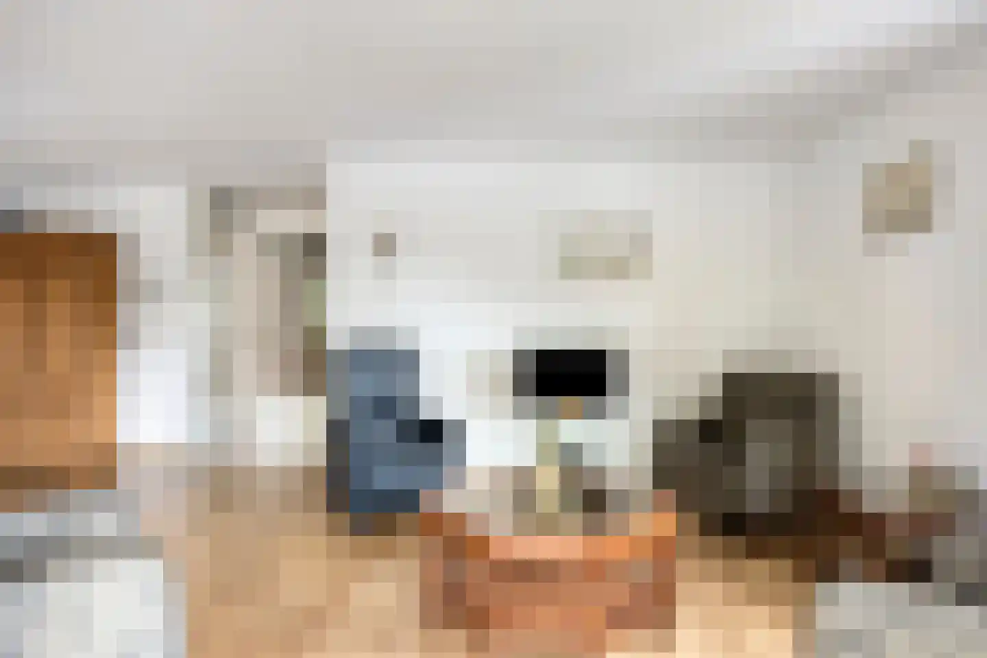 Hobbemakade 470 Zutphen thumbnail 14