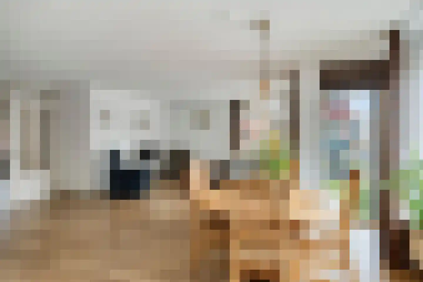 Hobbemakade 470 Zutphen thumbnail 17