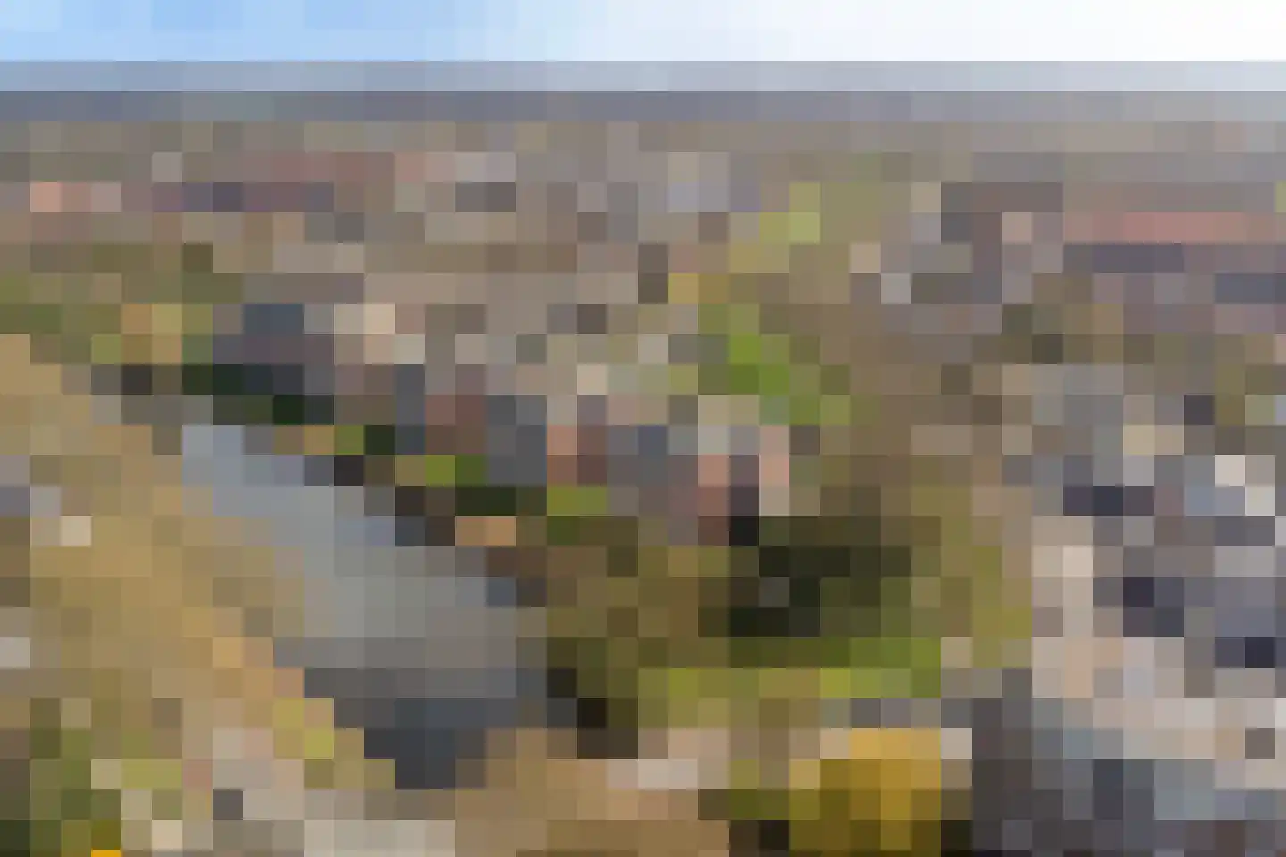 Hobbemakade 474 Zutphen thumbnail 34