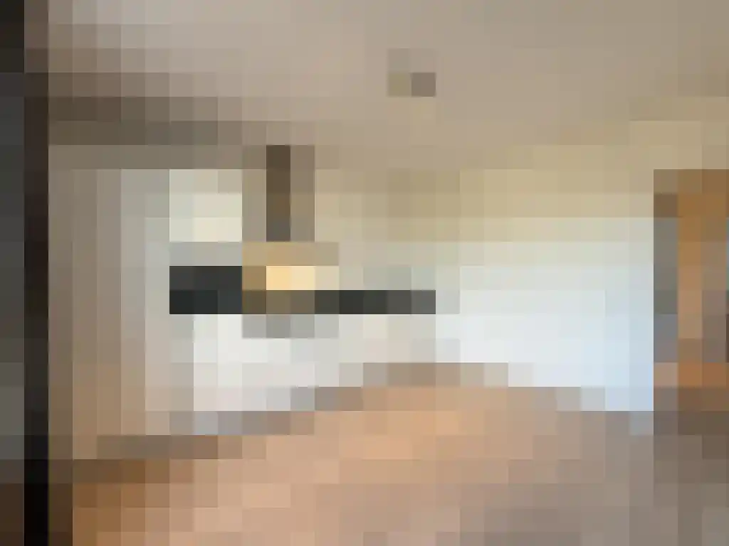 Hobbemakade 59 2 Amsterdam thumbnail 4