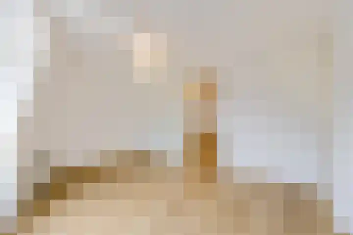 Hobbemakade 61 O Amsterdam thumbnail 17