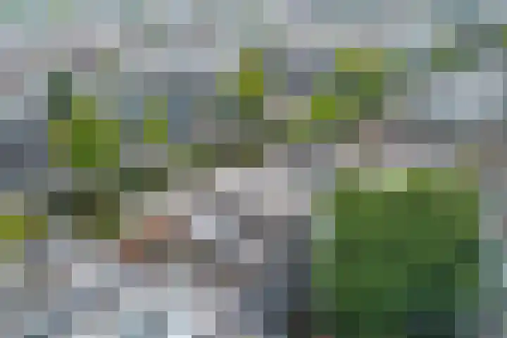 Hobbemakade 61 O Amsterdam thumbnail 4