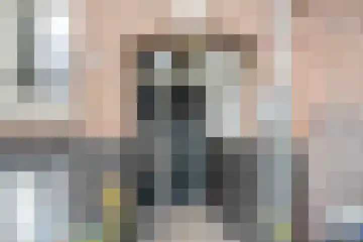Hobbemakade 61 O Amsterdam thumbnail 7