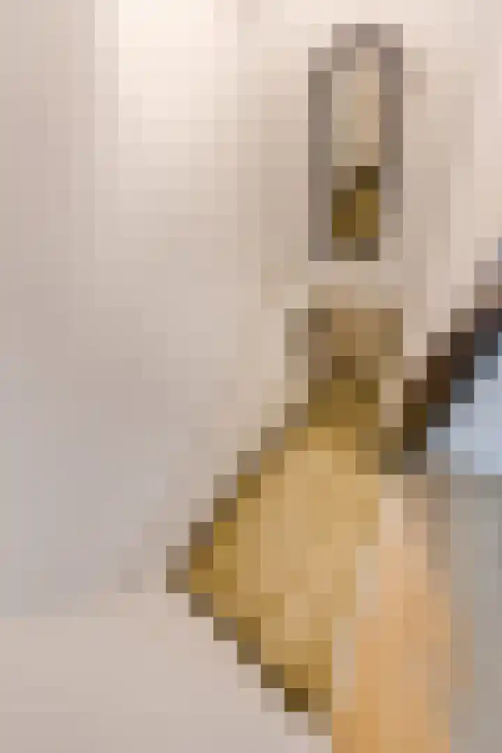 Hobbemakade 61 O Amsterdam thumbnail 8