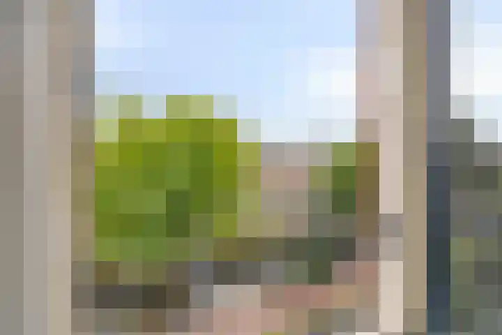 Hobbemakade 65 A Amsterdam thumbnail 11