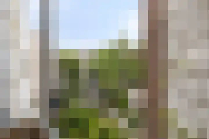 Hobbemakade 65 A Amsterdam thumbnail 22