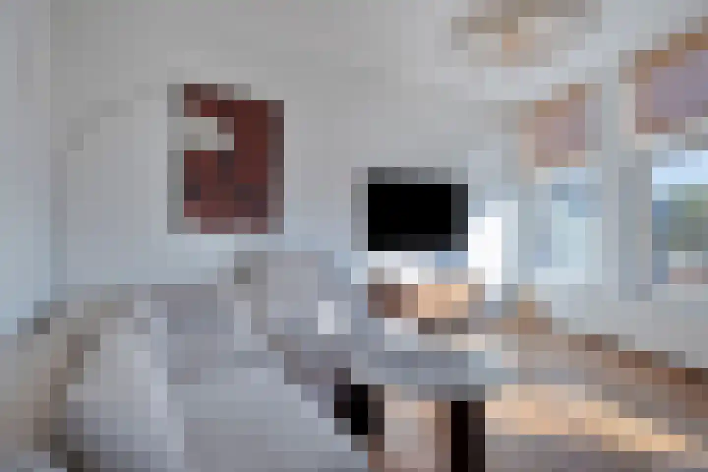 Hobbemakade 65 D Amsterdam thumbnail 8