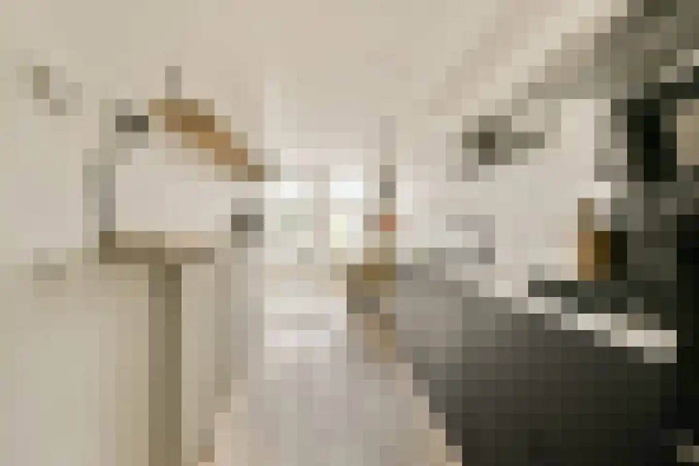 Hobbemakade 65 H Amsterdam thumbnail 5