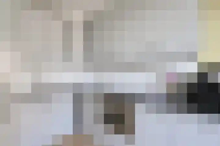 Hobbemakade 67 Zutphen thumbnail 14