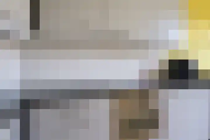 Hobbemakade 67 Zutphen thumbnail 16