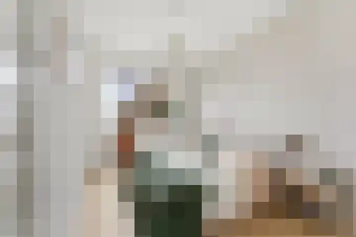 Hobbemakade 67 Zutphen thumbnail 22