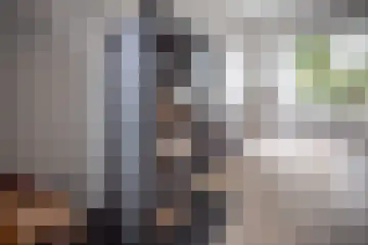 Hobbemakade 67 Zutphen thumbnail 23