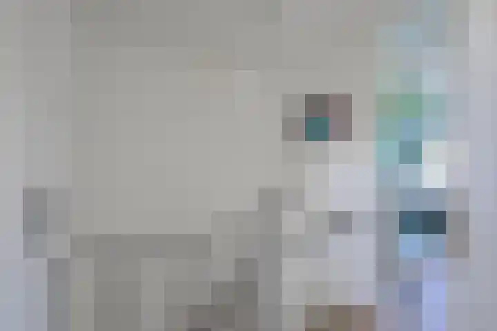 Hobbemakade 67 Zutphen thumbnail 23