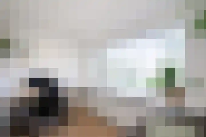 Hobbemakade 67 Zutphen thumbnail 27