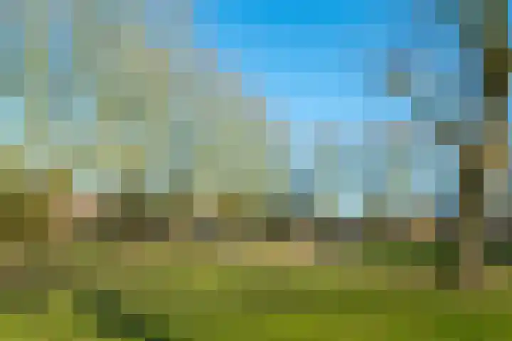 Hobbemakade 67 Zutphen thumbnail 44
