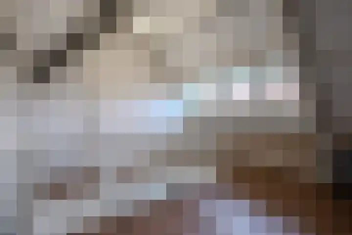 Hobbemakade 67 Zutphen thumbnail 6