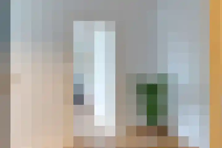 Hobbemalaan 107 Alkmaar thumbnail 12