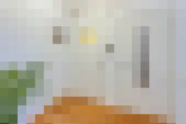 Hobbemalaan 107 Alkmaar thumbnail 16