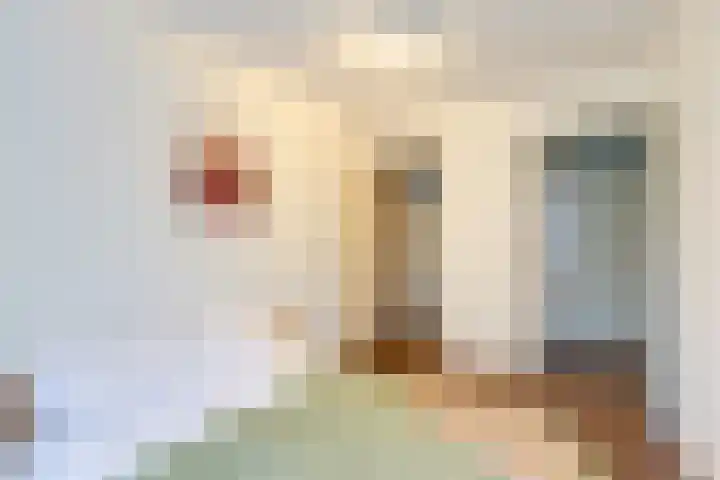 Hobbemalaan 107 Alkmaar thumbnail 45
