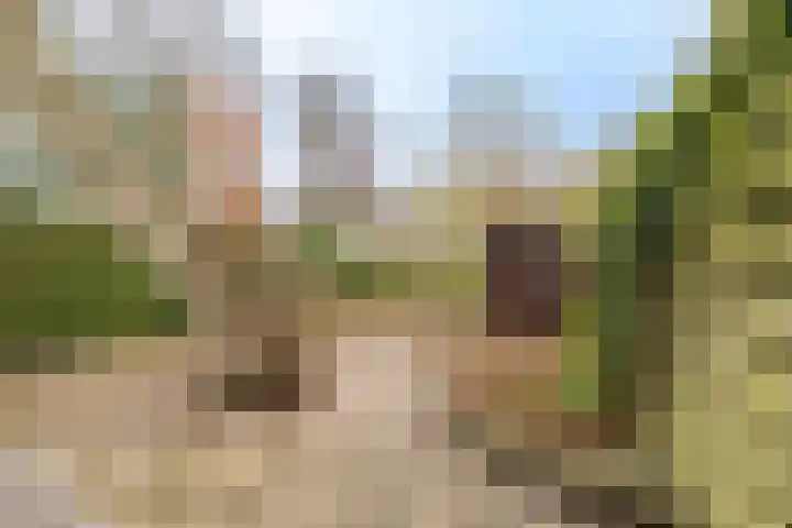 Hobbemalaan 107 Alkmaar thumbnail 53