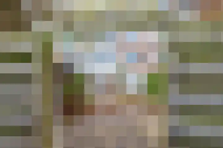 Hobbemalaan 107 Alkmaar thumbnail 55