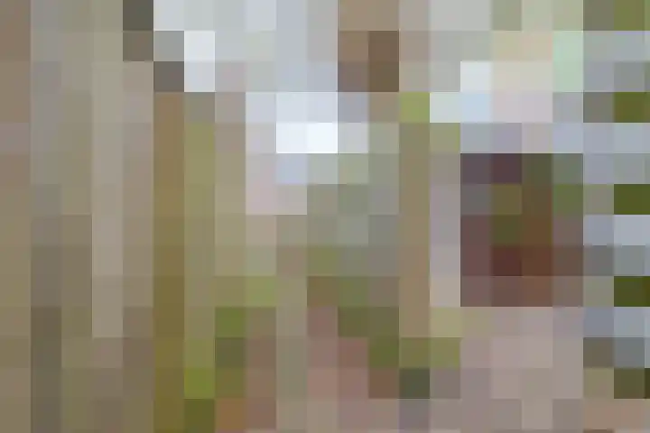 Hobbemalaan 107 Alkmaar thumbnail 56