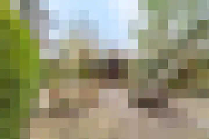 Hobbemalaan 107 Alkmaar thumbnail 57
