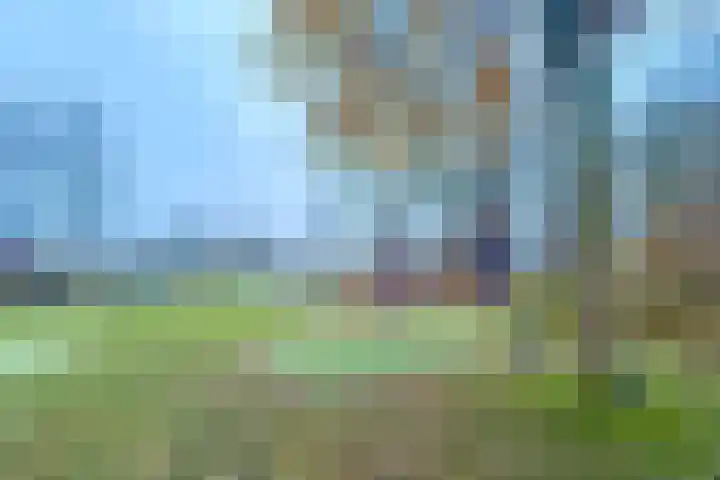 Hobbemalaan 107 Alkmaar thumbnail 61